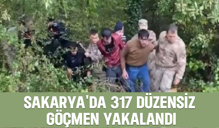 Sakarya'da kaçak göçmenler yakalandı