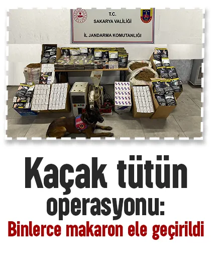 Sakarya'da kaçakçılık operasyonu
