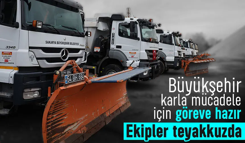 Sakarya'da kar alarmı