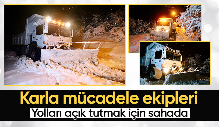 Sakarya da kar küreme çalışmaları sürüyor