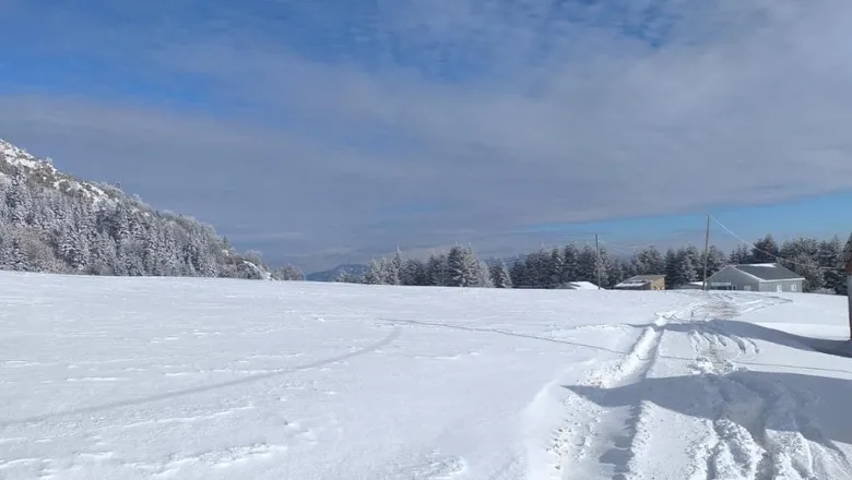 Sakarya'da kar nedeniyle yaylalara girişlere yasak
