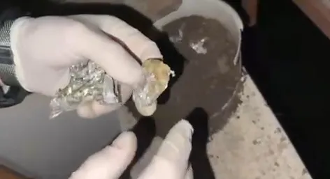 Sakarya'da narkotik ekiplerinden operasyon