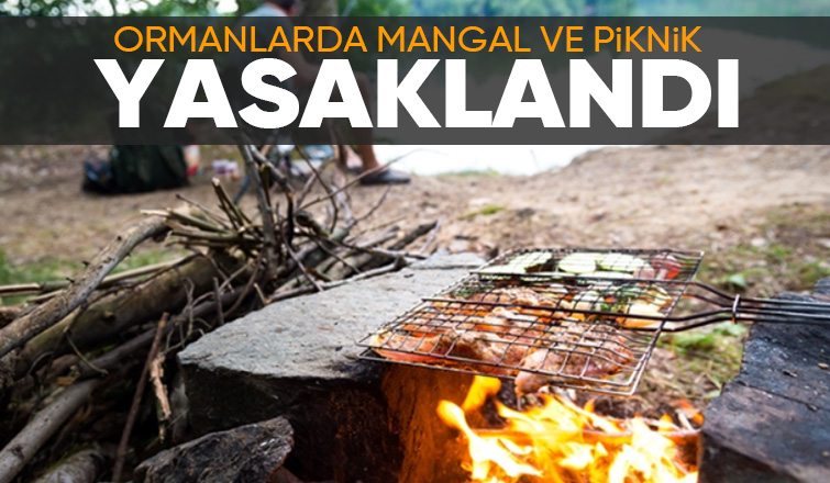 Sakarya'da ormanlarda mangal ve piknik yasaklandı