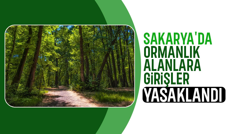 Sakarya da ormanlık alanlara giriş yasağı