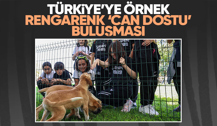 Sakarya'da Pati İzi Can Dostlar buluşması