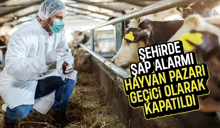 Sakarya'da şap alarmı