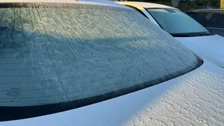 Sakarya'da soğuk hava ve kırağı etkili oldu