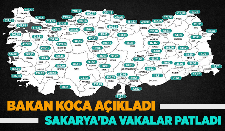 Sakarya'da tablo vahim