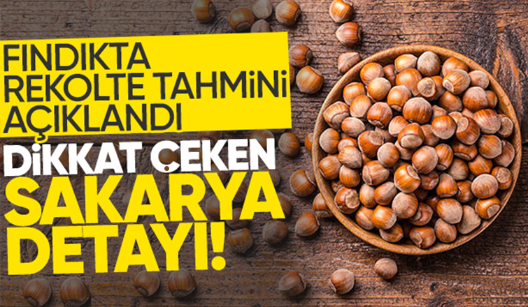 Sakarya'da tahmini fındık rekoltesi açıklandı