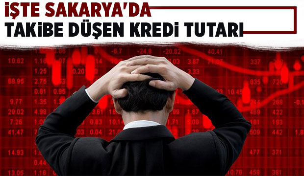 Sakarya'da takibe düşen kredi miktarı açıklandı