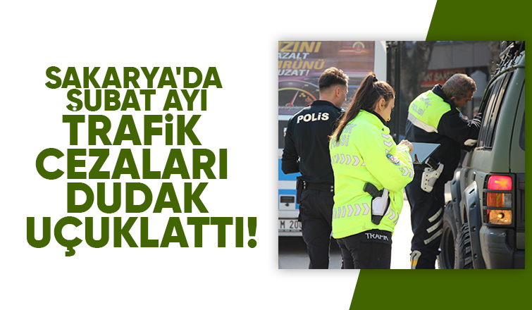 Sakarya'da trafik denetimleri: Milyonlarca liralık ceza yağdı