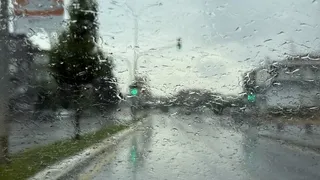 Sakarya'da yağmur yağdı, doğa nefes aldı