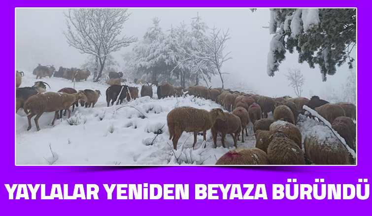 Sakarya'da yüksek kesimlere kar yağdı