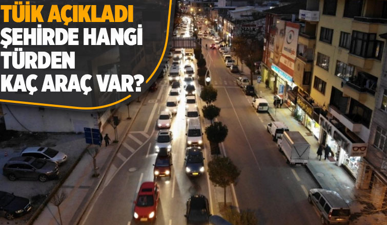 Sakarya'daki araç sayısı açıklandı