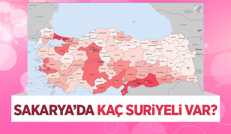 Sakarya'daki Suriyeli detayı