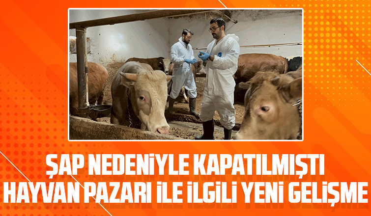 Sakarya Hayvan Pazarı ile ilgili son durum
