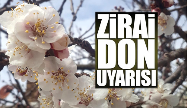 Sakarya için zirai don uyarısı