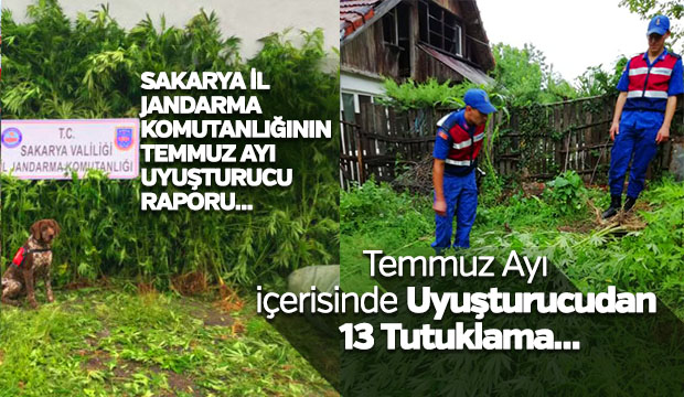 SAKARYA İL JANDARMA KOMUTANLIĞININ TEMMUZ AYI UYUŞTURUCU RAPORU