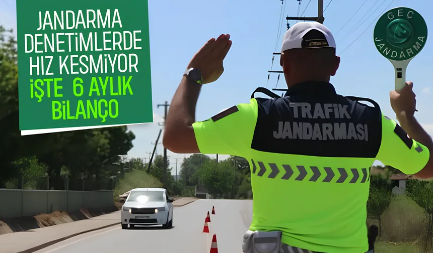 Sakarya jandarmadan 6 ayda 800 binden fazla denetim