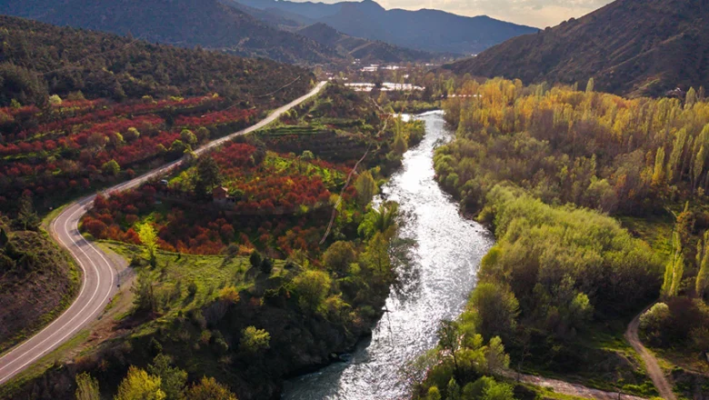 Sakarya Nehri için 3 ülkeden ortak mücadele