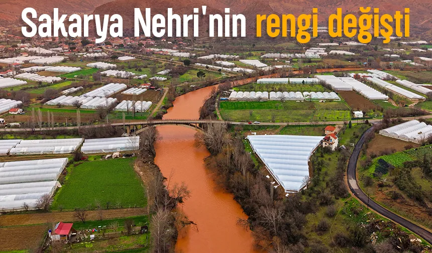 Sakarya Nehri kahverengiye döndü!