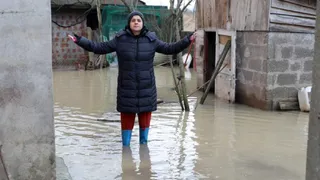 Sakarya Nehri kıyısındaki mahalleyi su bastı