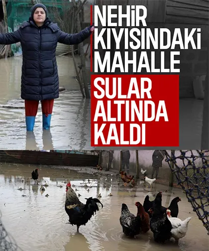 Sakarya Nehri kıyısındaki mahalleyi su bastı