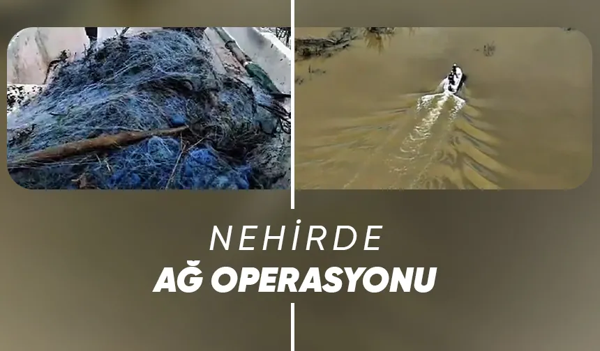 Sakarya Nehri'nde ağlar toplandı