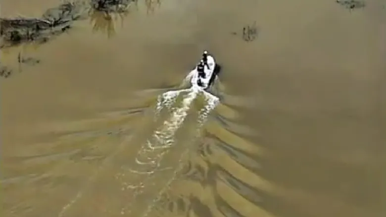 Sakarya Nehri'nde ağlar toplandı
