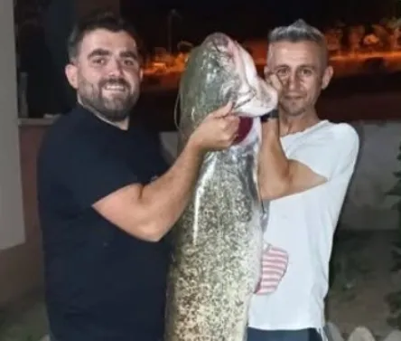 Sakarya Nehri'nde dev yayın yakalandı