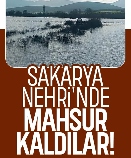 Sakarya Nehri'ndeki adacıkta mahsur kaldılar