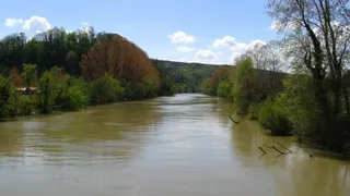 Sakarya Nehri'ne kıyı tahkimatı yapılıyor