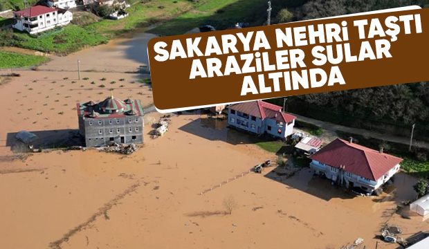 Sakarya Nehri taştı