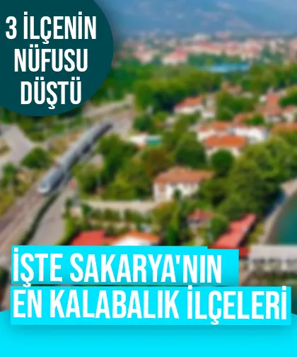 Sakarya'nın ilçe ilçe nüfus sayıları