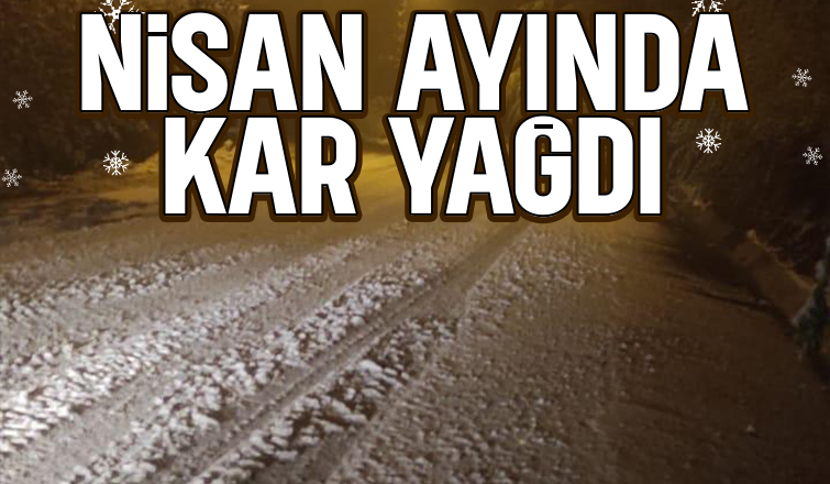 Sakarya'nın yüksek kesimlerine kar yağdı