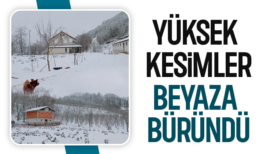 Sakarya'nın yüksek kesimlerine kar yağdı