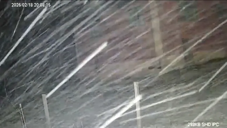 Sakarya'nın yüksek kesimlerine kar yağdı