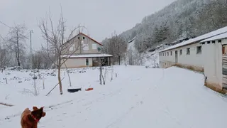 Sakarya'nın yüksek kesimlerine kar yağdı