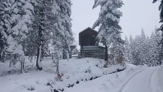 Sakarya'nın yükseklerinde kar kalınlığı yarım metreye ulaştı