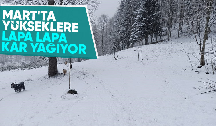 Sakarya'nın yükseklerine kar yağıyor