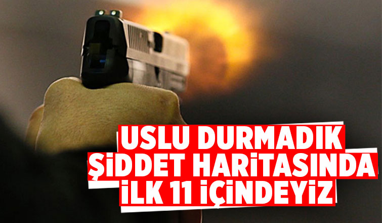 Sakarya şiddet haritasında Marmara da dördüncü