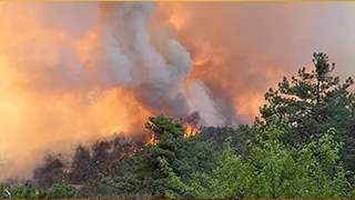 Sakarya tarihinin en büyük yangını üçüncü günde