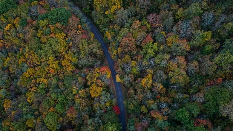 Sakarya Valiliği’nden Orman Yangınlarına Karşı Yeni Yasaklar
