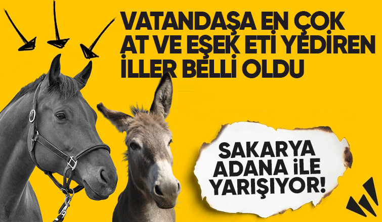 Sakarya vatandaşa en çok at ve eşek eti yediren ikinci şehir