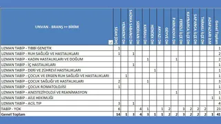 Sakarya'ya 41 yeni doktor atandı