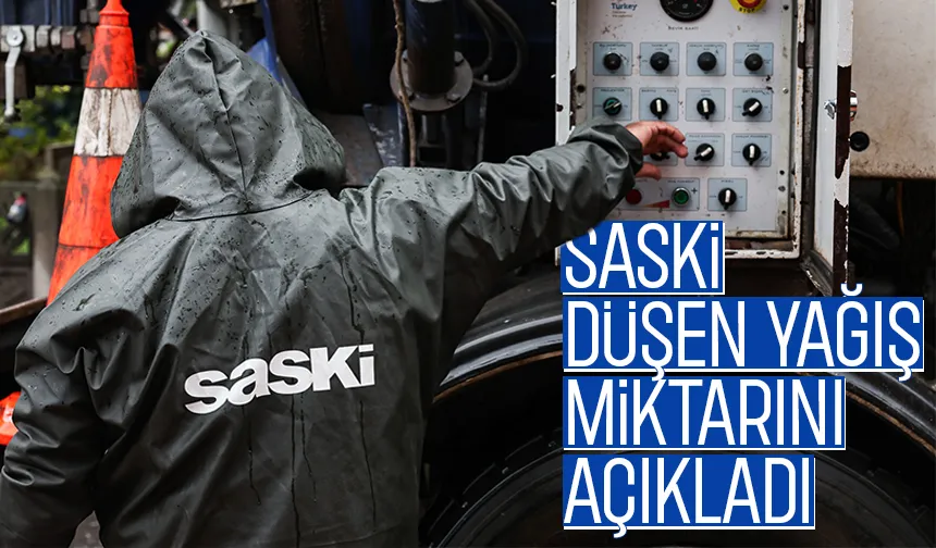 Sakarya'ya düşen yağış miktarı açıklandı