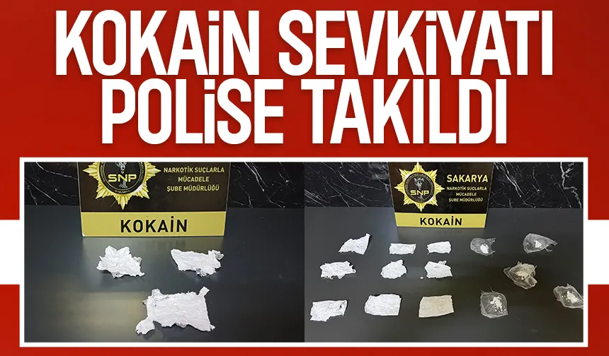 Sakarya'ya uyuşturucu getirirken yakalandı