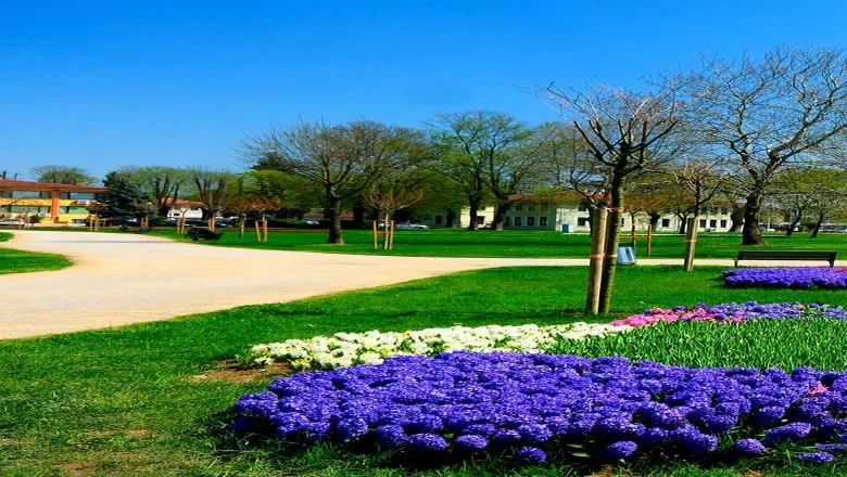 Sakarya’da baharın büyüleyici cümbüşü