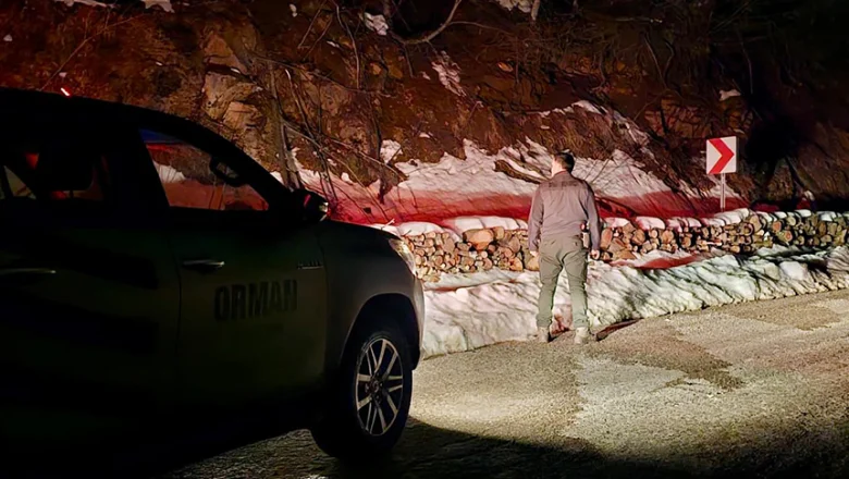 Sakarya’da Gece Nöbeti: Ormanlar 7/24 Koruma Altında