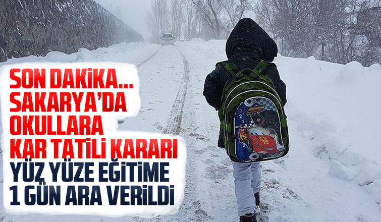 Sakaryada kar tatili kararı
